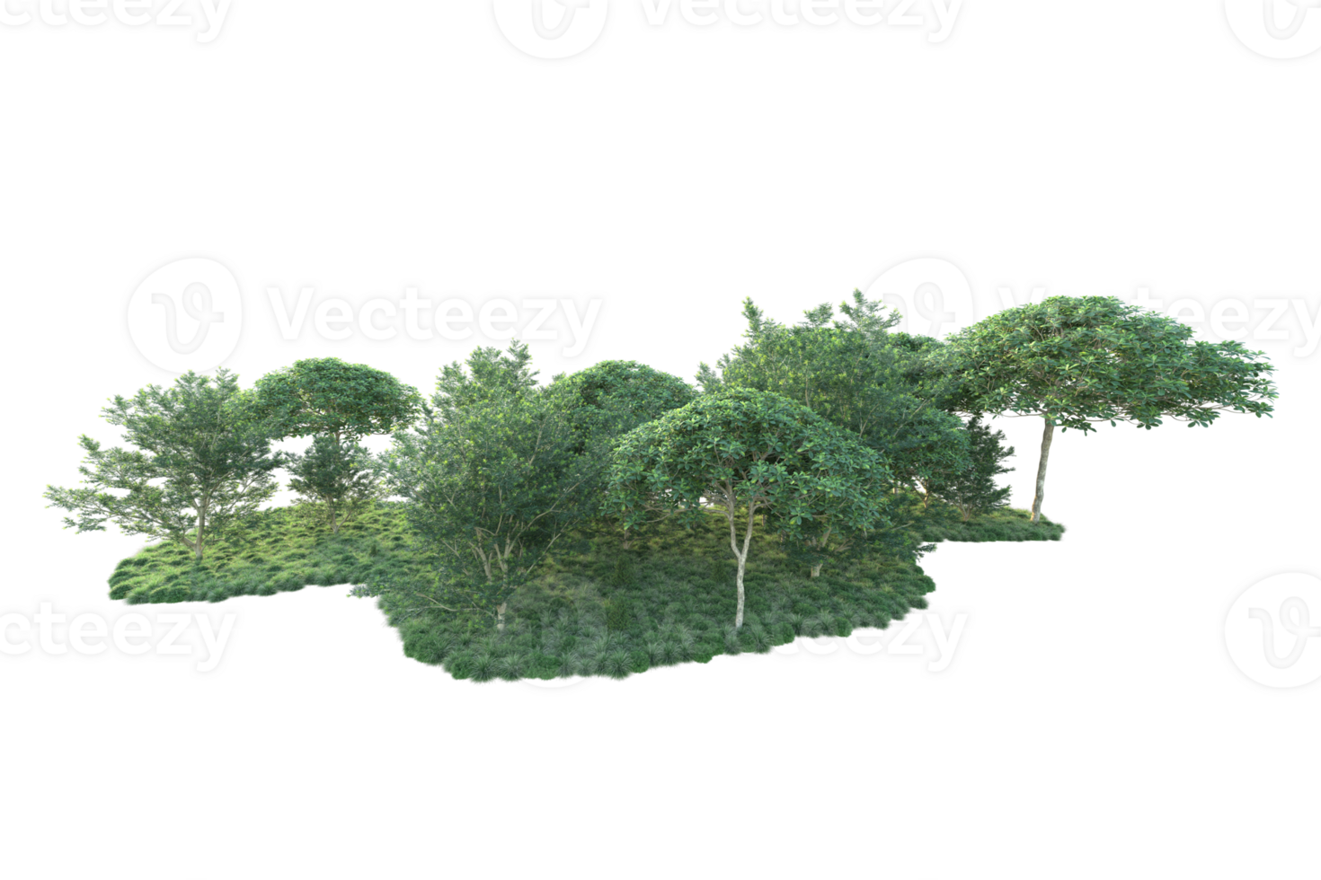 Tropical forest isolated on transparent background. 3d rendering - illustration png