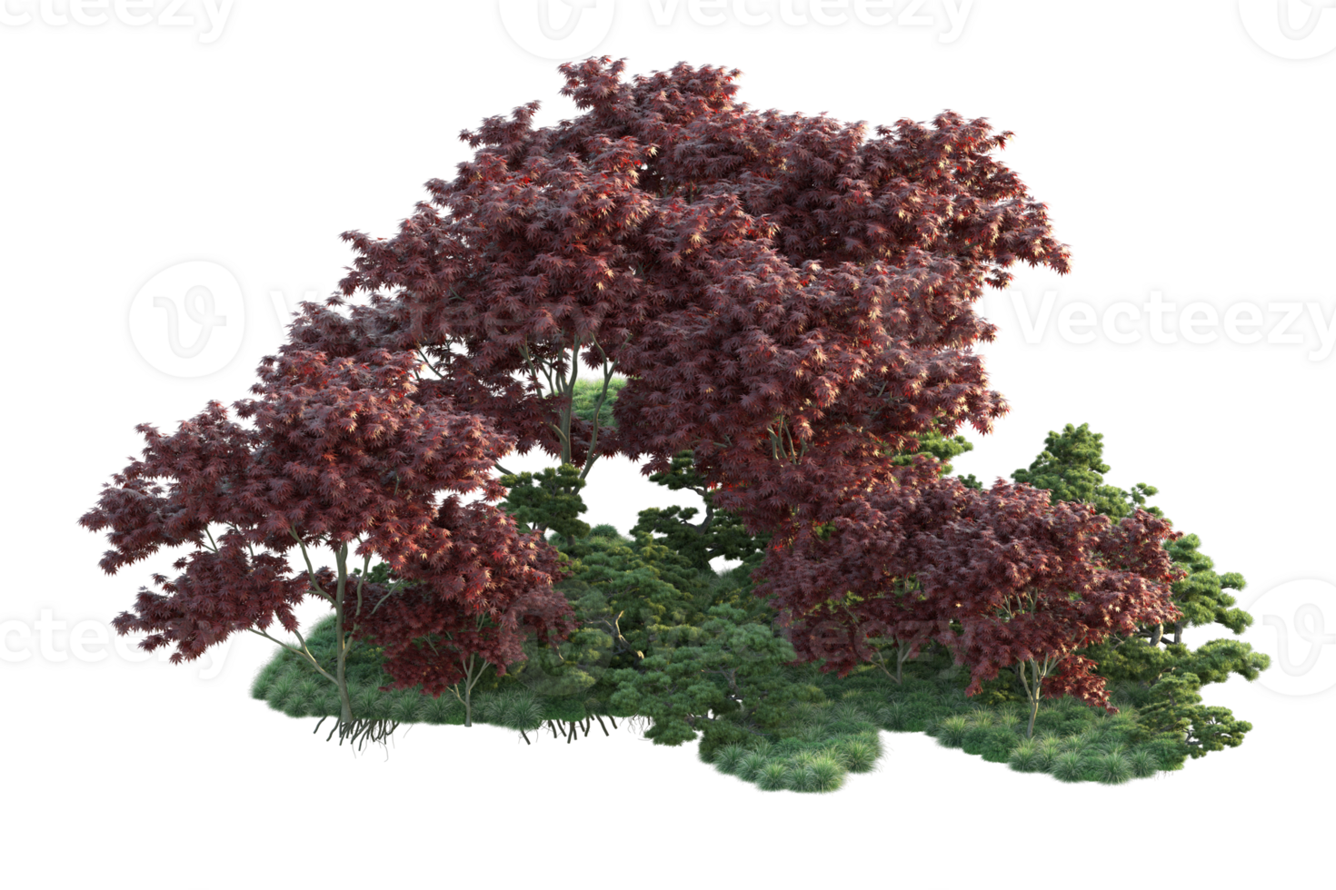 Tropical forest isolated on transparent background. 3d rendering - illustration png