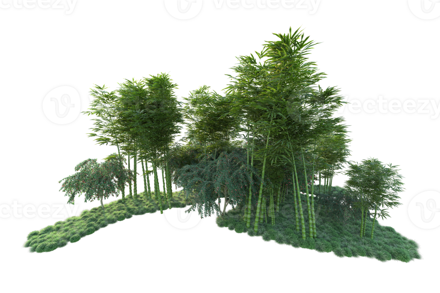 Tropical forest isolated on transparent background. 3d rendering - illustration png