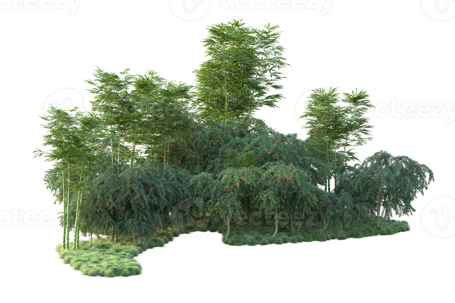 Tropical forest isolated on transparent background. 3d rendering - illustration png