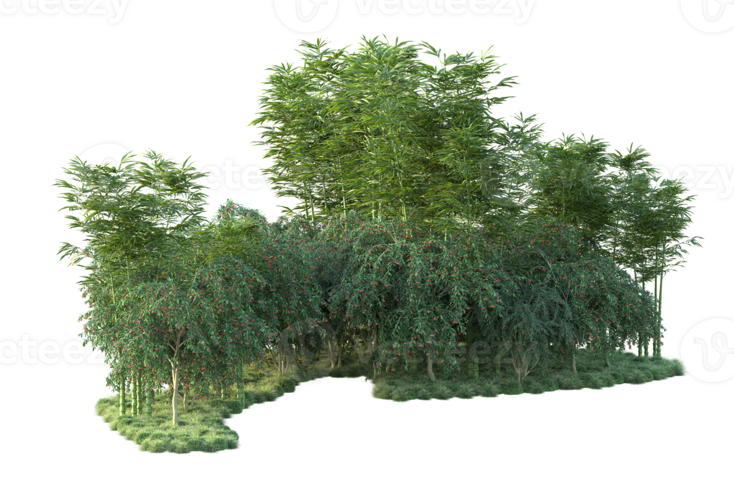 Tropical forest isolated on transparent background. 3d rendering - illustration png