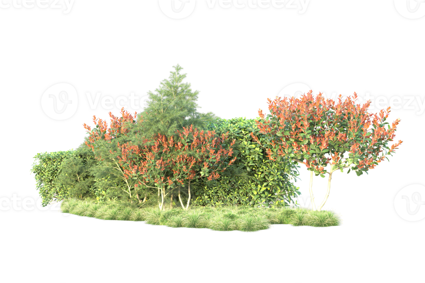 Tropical forest isolated on transparent background. 3d rendering - illustration png