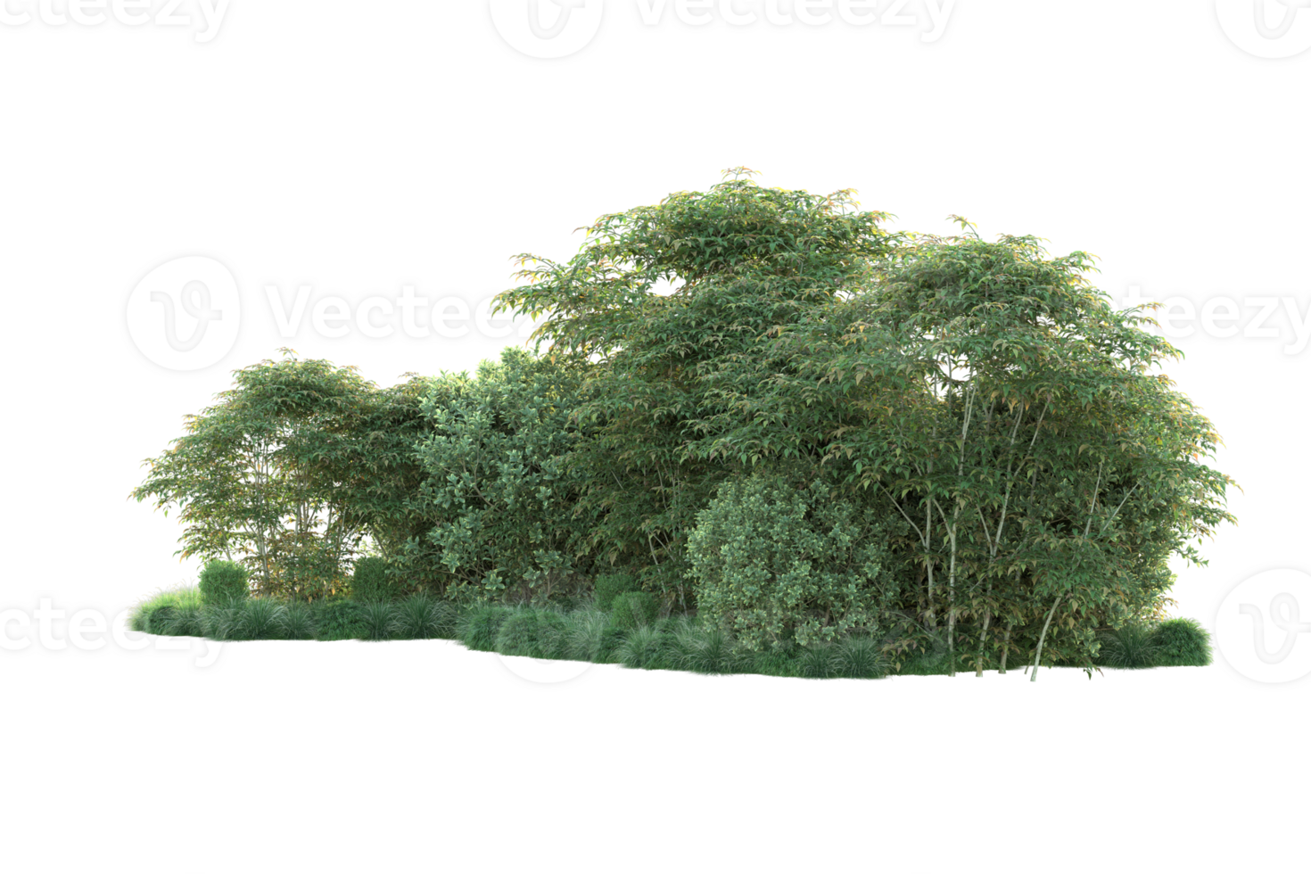 Tropical forest isolated on transparent background. 3d rendering - illustration png