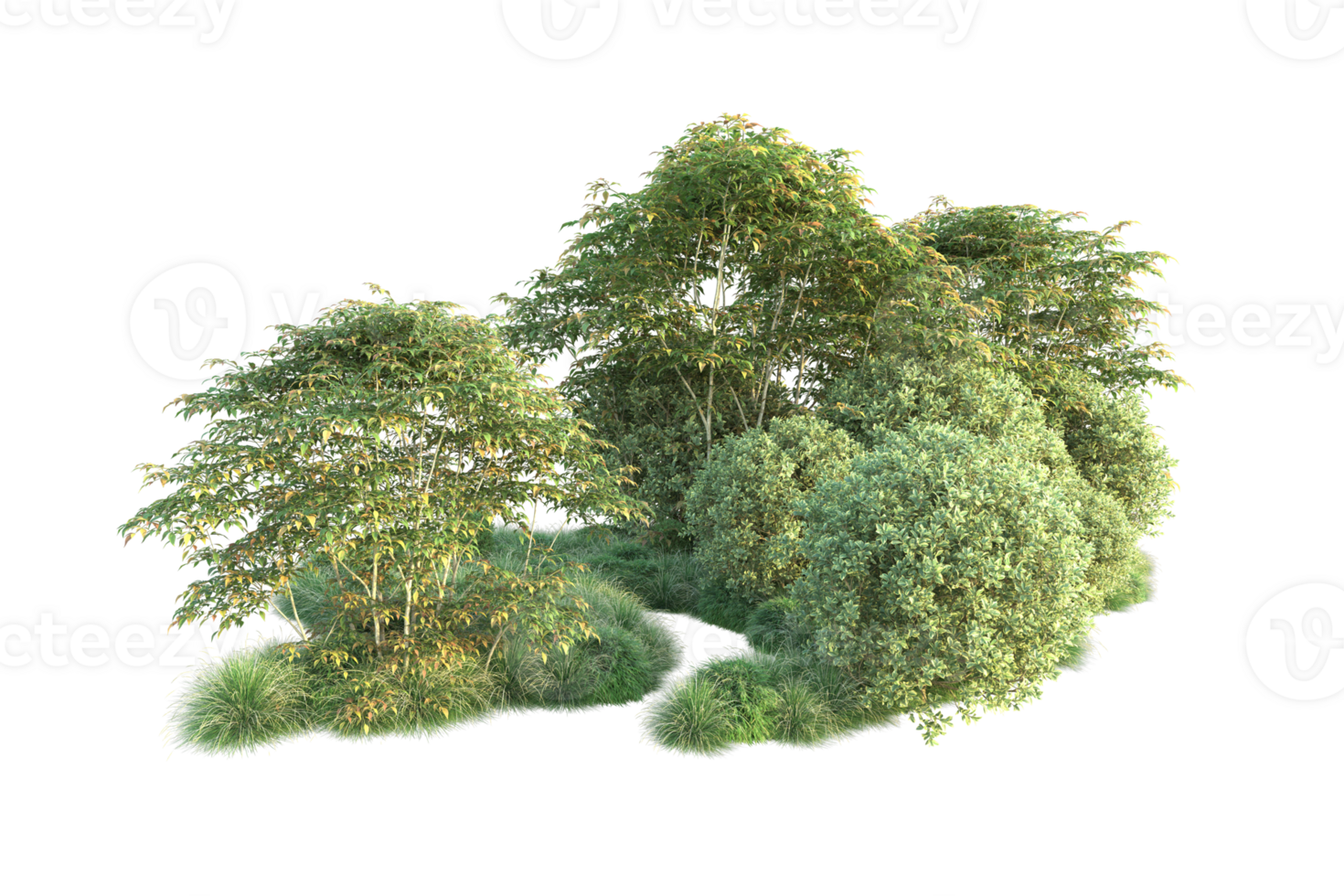 Tropical forest isolated on transparent background. 3d rendering - illustration png