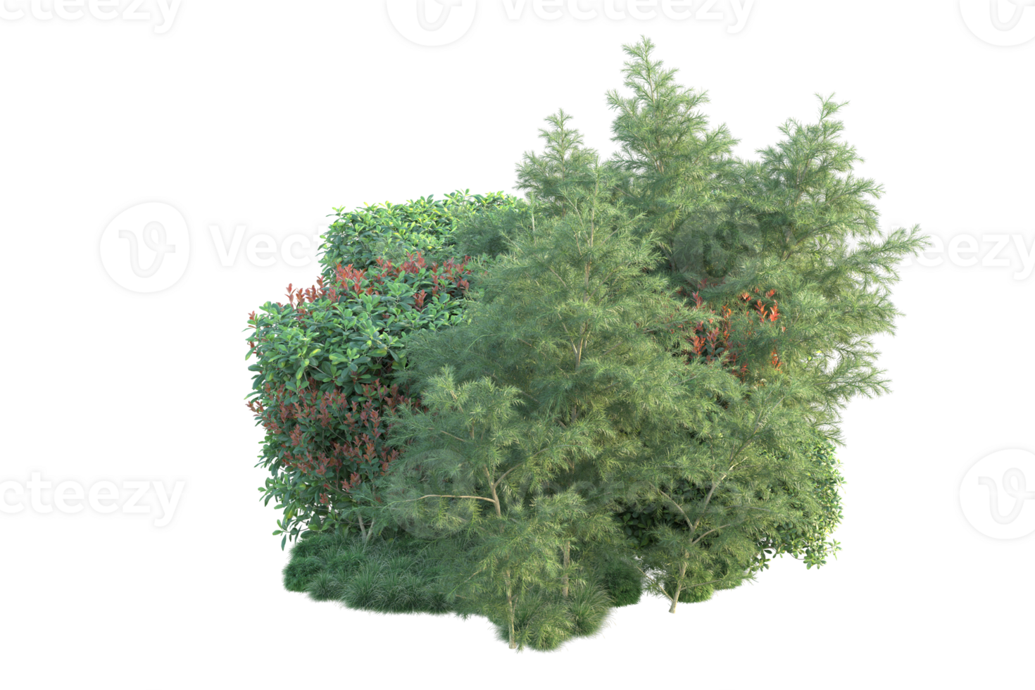 Tropical forest isolated on transparent background. 3d rendering - illustration png