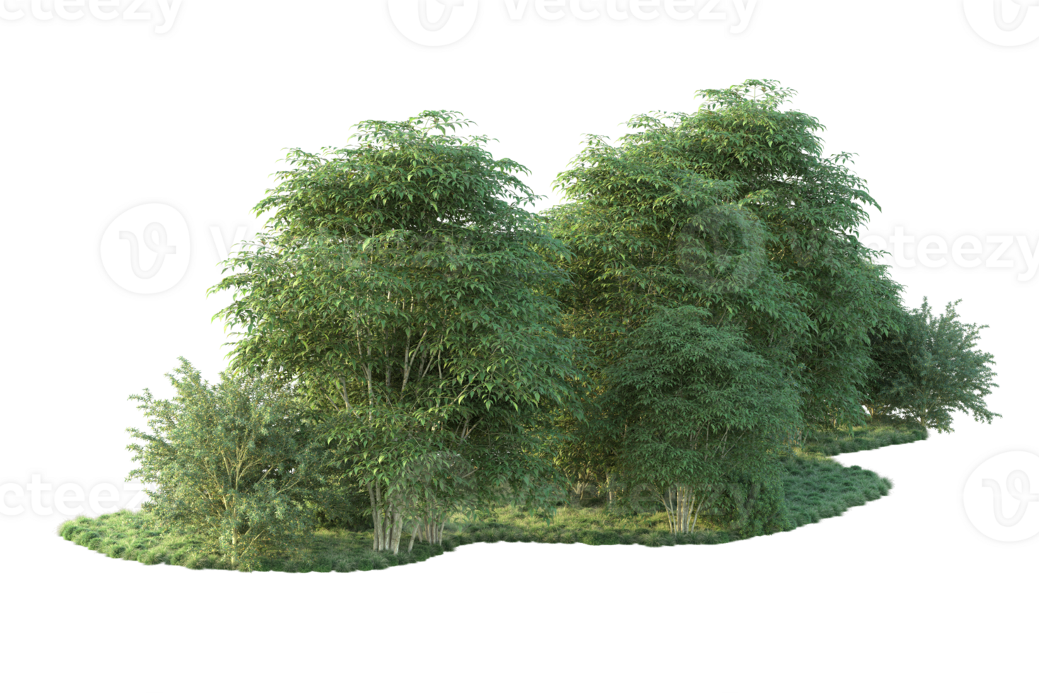 Tropical forest isolated on transparent background. 3d rendering - illustration png