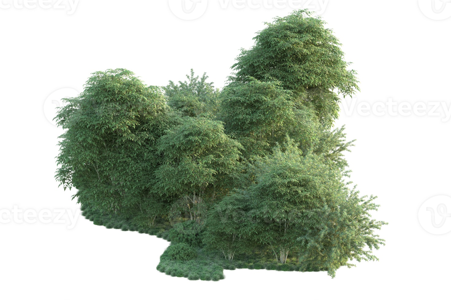 Tropical forest isolated on transparent background. 3d rendering - illustration png