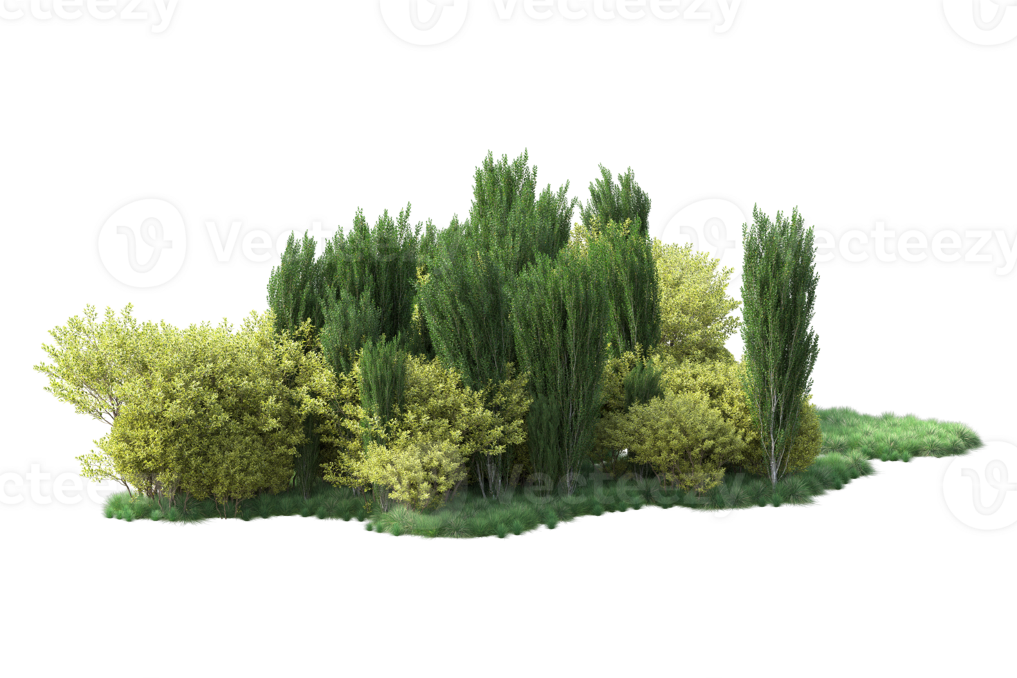 Tropical forest isolated on transparent background. 3d rendering - illustration png