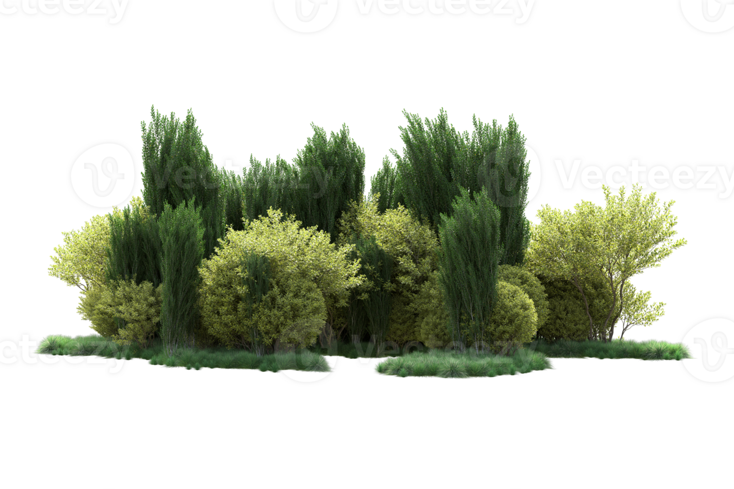 Tropical forest isolated on transparent background. 3d rendering - illustration png