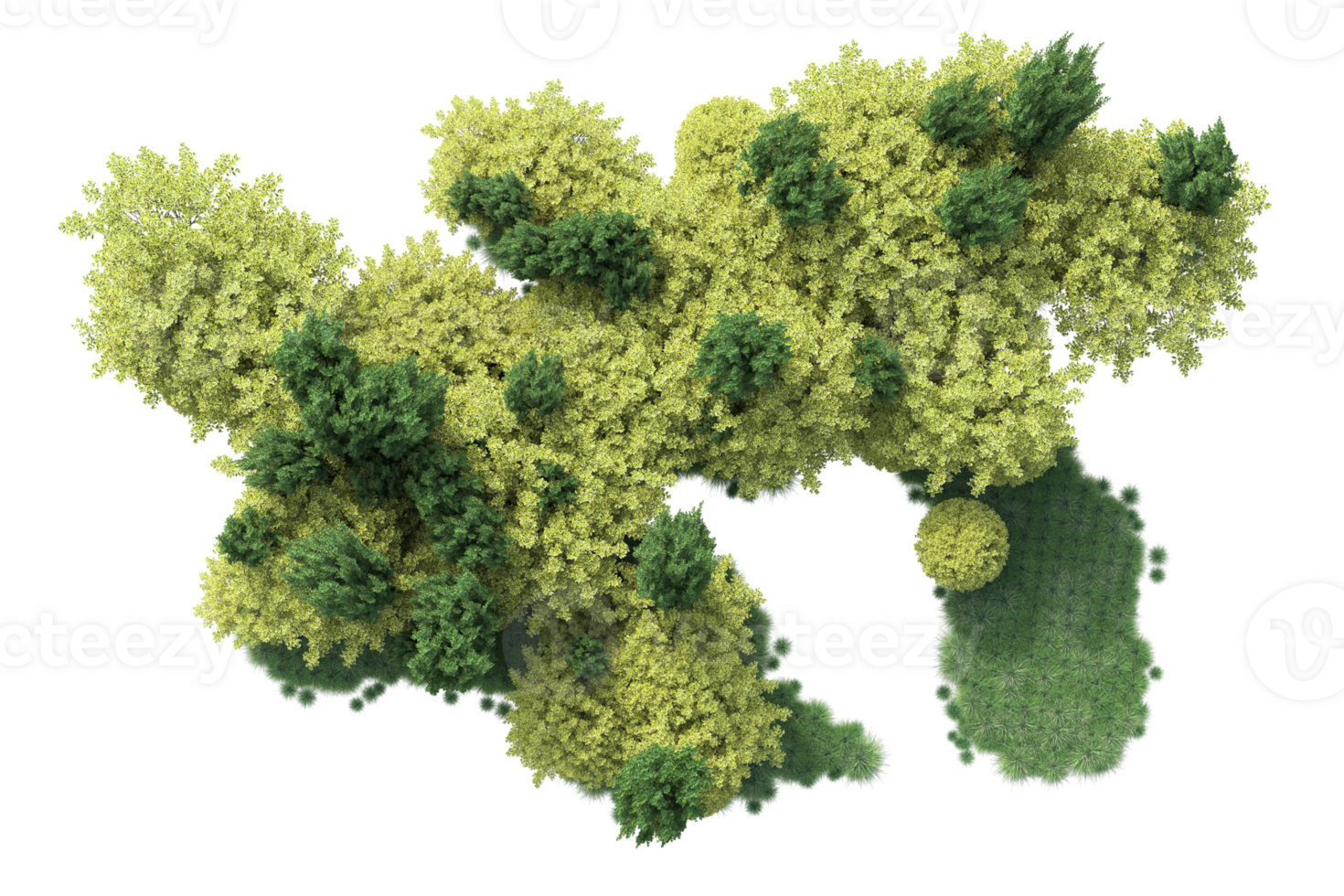 Tropical forest isolated on transparent background. 3d rendering - illustration png