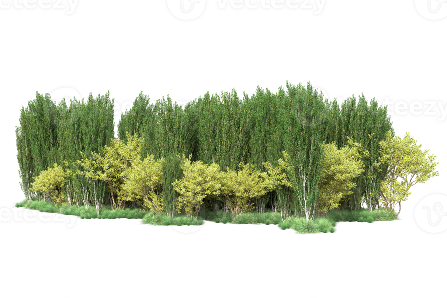 Tropical forest isolated on transparent background. 3d rendering - illustration png