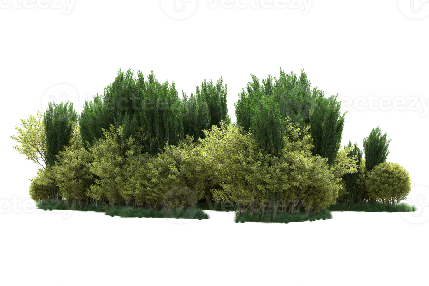 Tropical forest isolated on transparent background. 3d rendering - illustration png