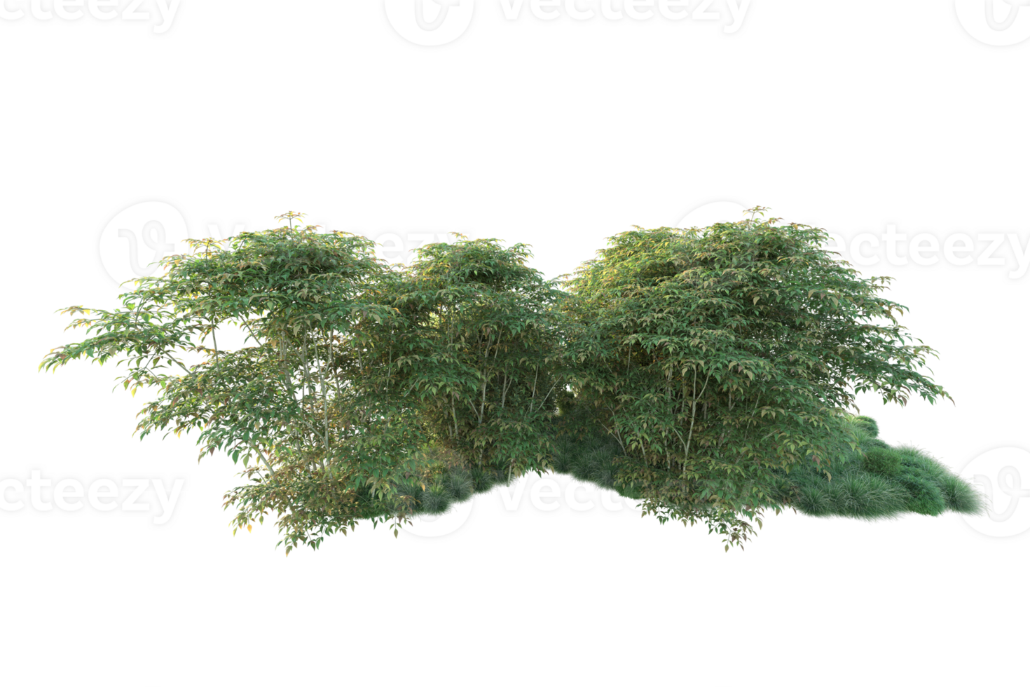 Tropical forest isolated on transparent background. 3d rendering - illustration png