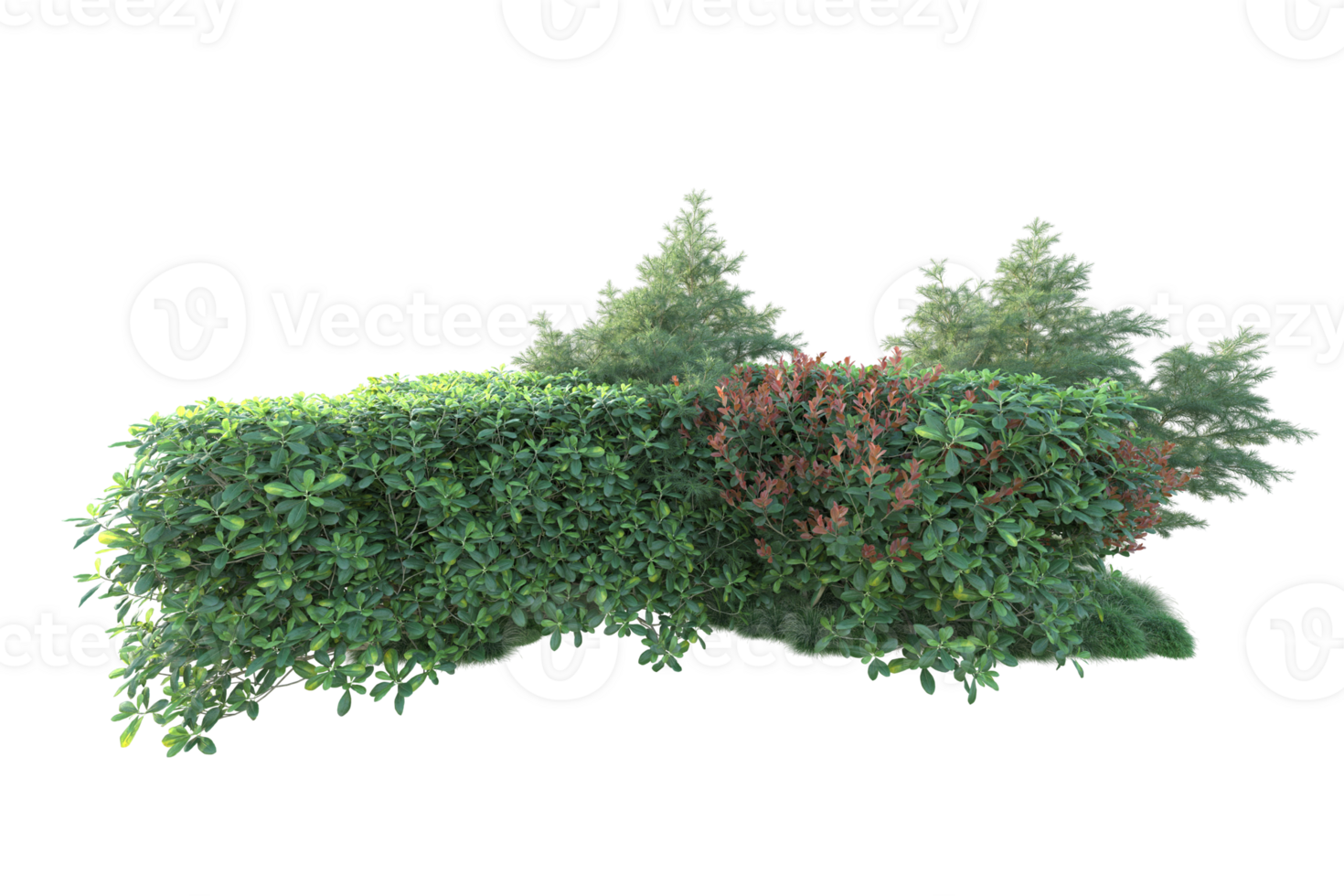 Tropical forest isolated on transparent background. 3d rendering - illustration png