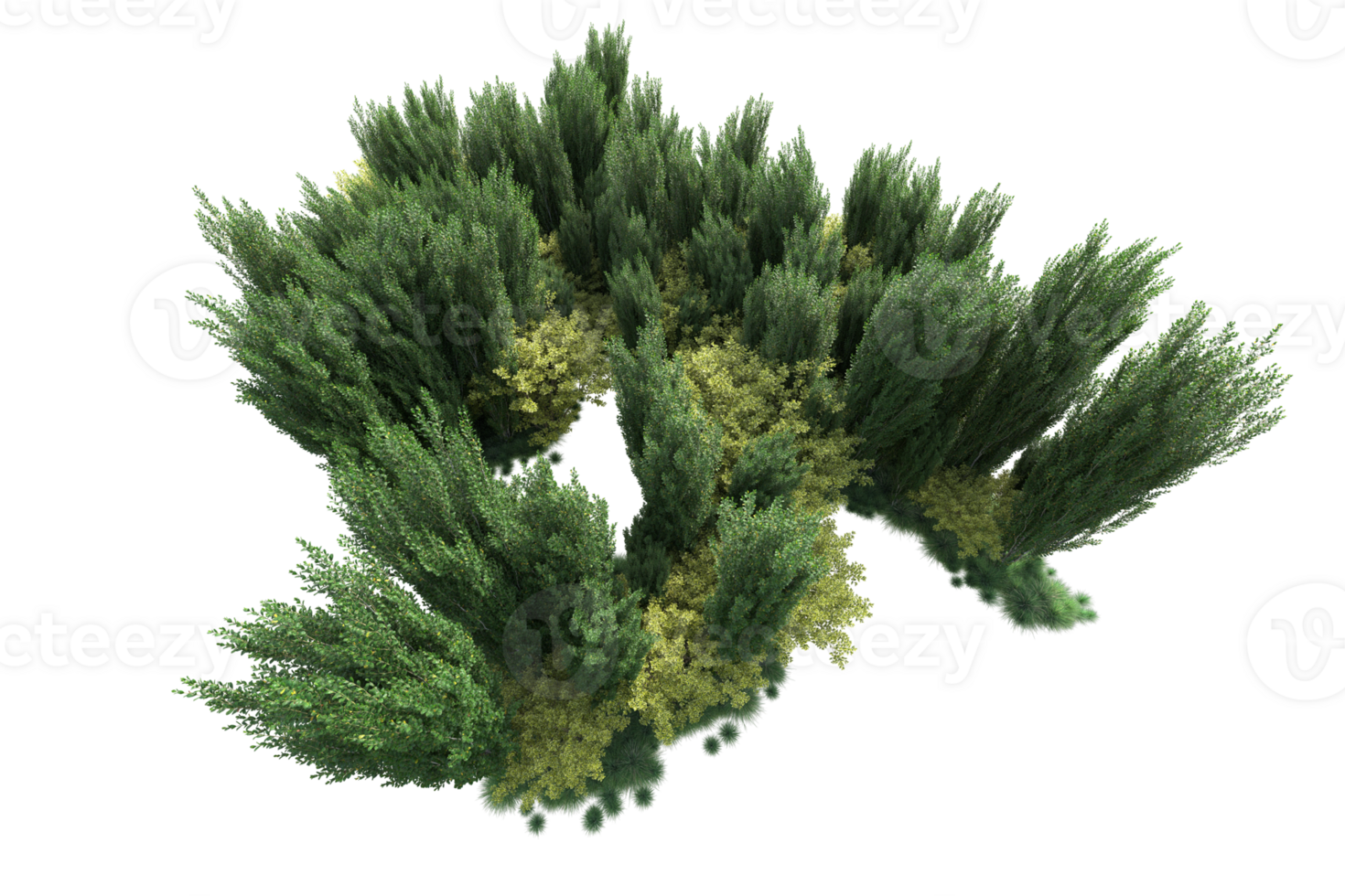 Tropical forest isolated on transparent background. 3d rendering - illustration png