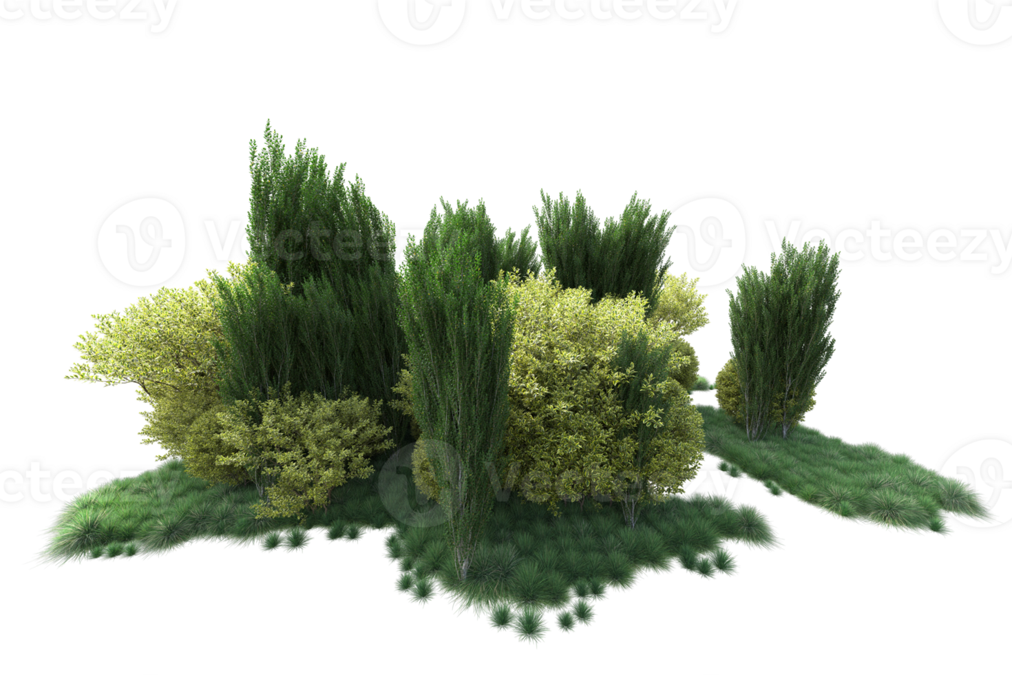 Tropical forest isolated on transparent background. 3d rendering - illustration png