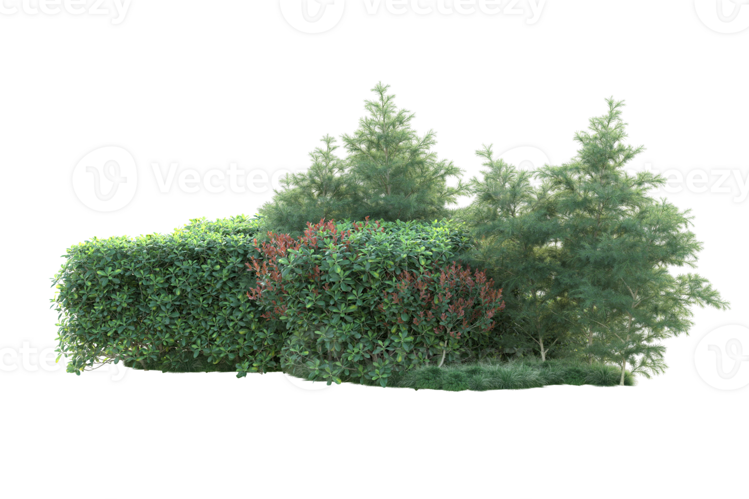 Tropical forest isolated on transparent background. 3d rendering - illustration png