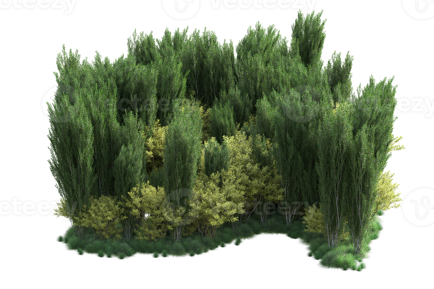 Tropical forest isolated on transparent background. 3d rendering - illustration png