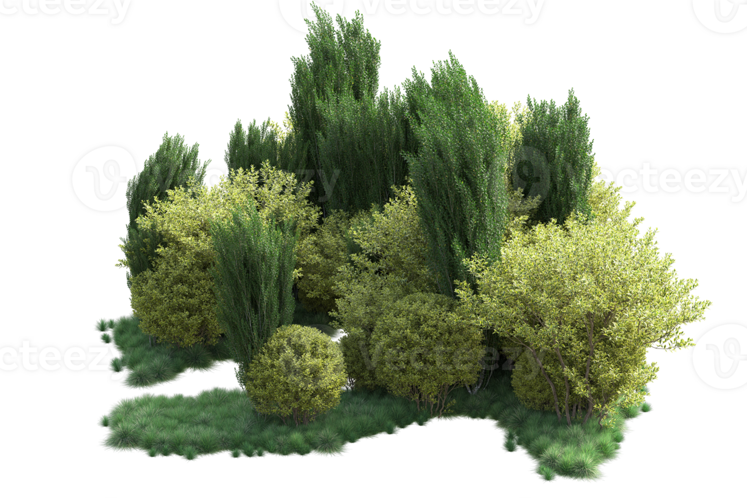Tropical forest isolated on transparent background. 3d rendering - illustration png