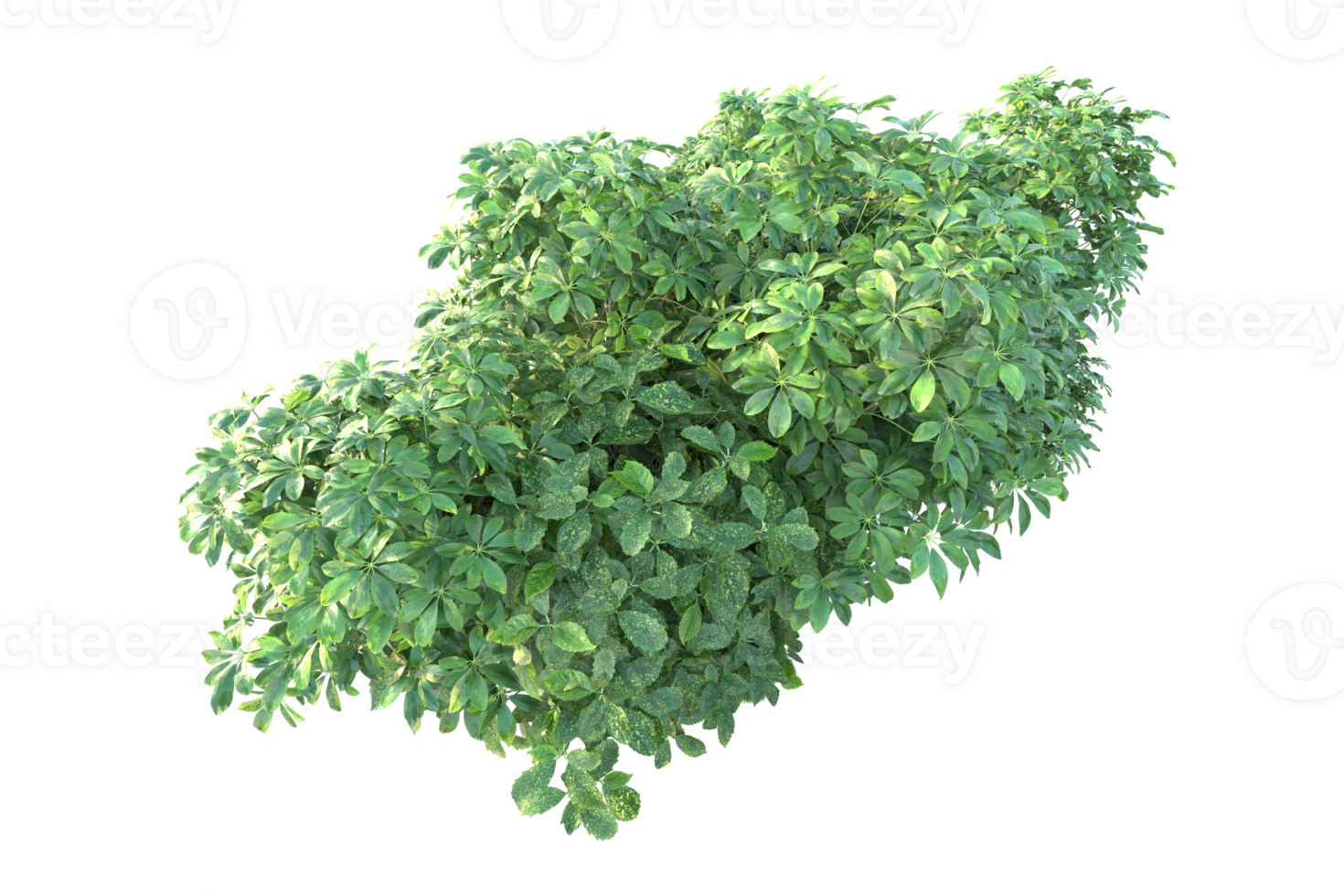 Tropical forest isolated on transparent background. 3d rendering - illustration png