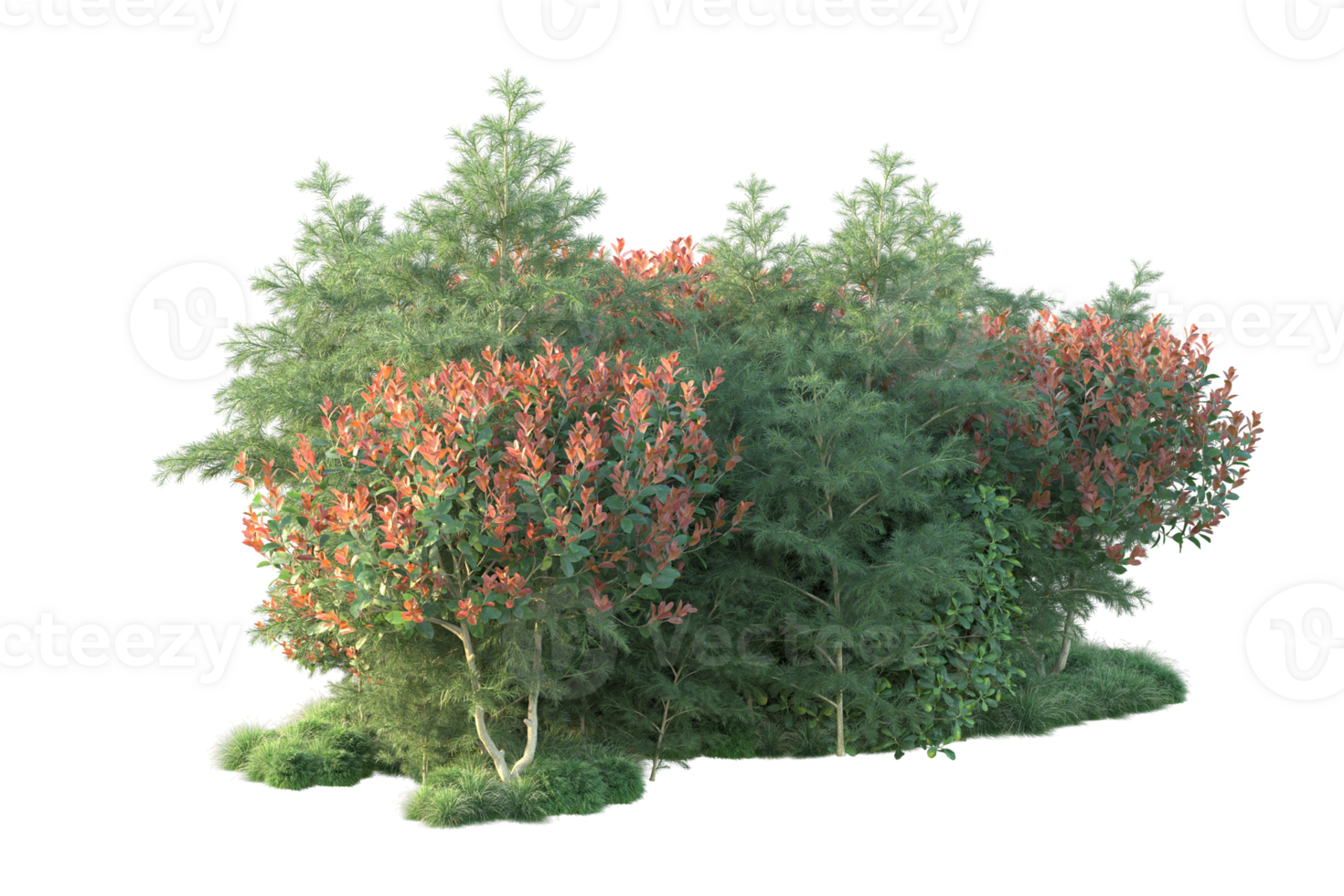 Tropical forest isolated on transparent background. 3d rendering - illustration png