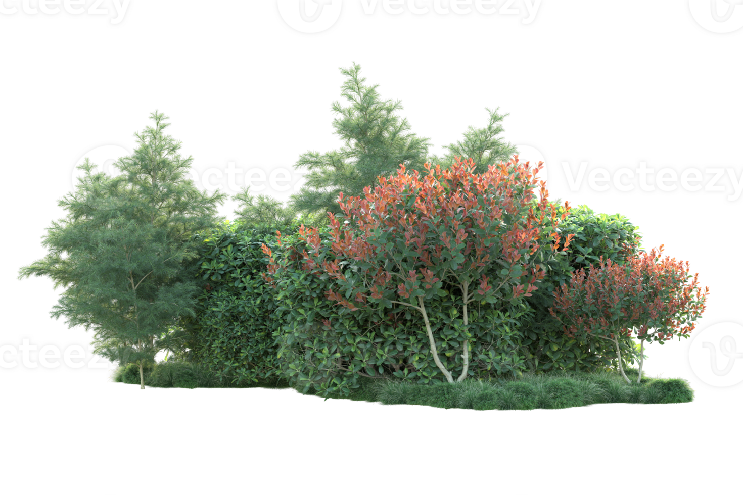 Tropical forest isolated on transparent background. 3d rendering - illustration png