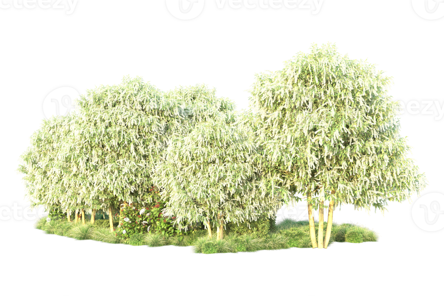 Tropical forest isolated on transparent background. 3d rendering - illustration png
