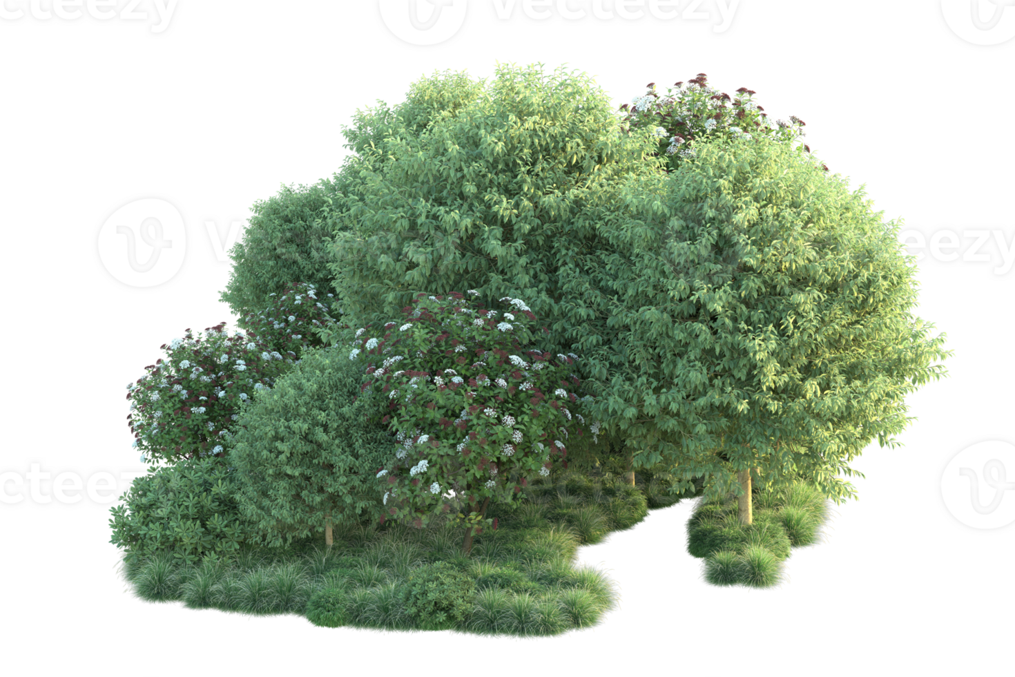 Tropical forest isolated on transparent background. 3d rendering - illustration png
