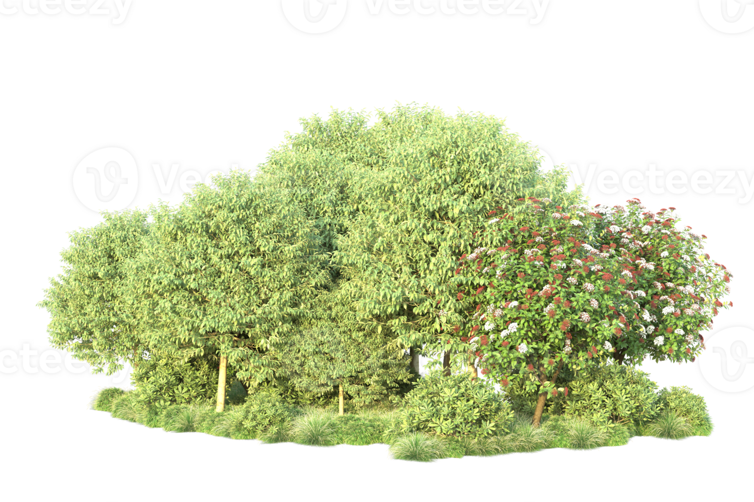 Tropical forest isolated on transparent background. 3d rendering - illustration png