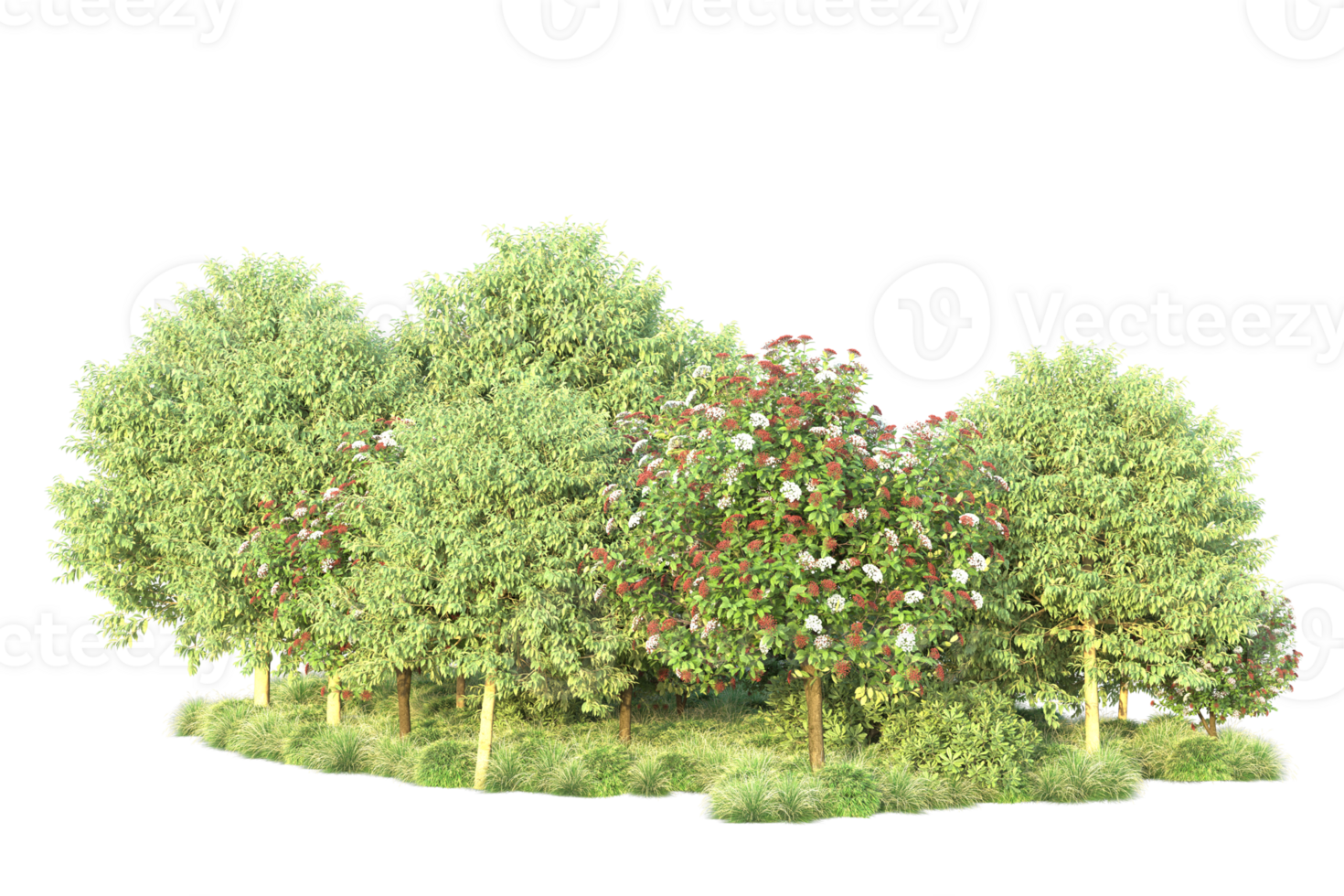 Tropical forest isolated on transparent background. 3d rendering - illustration png