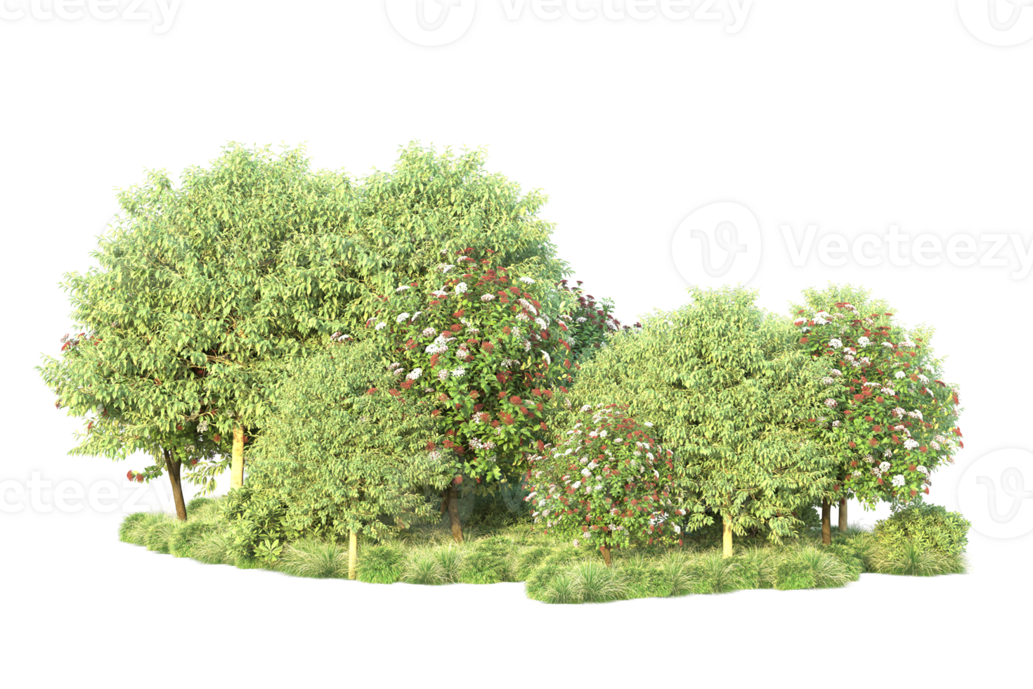 Tropical forest isolated on transparent background. 3d rendering - illustration png