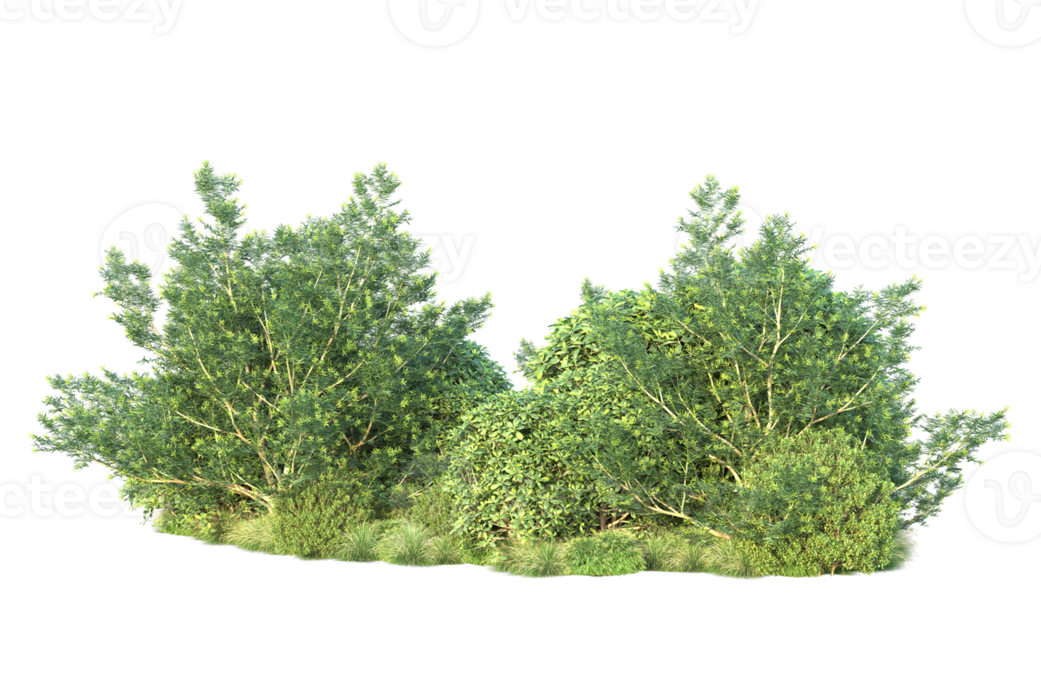 Tropical forest isolated on transparent background. 3d rendering - illustration png