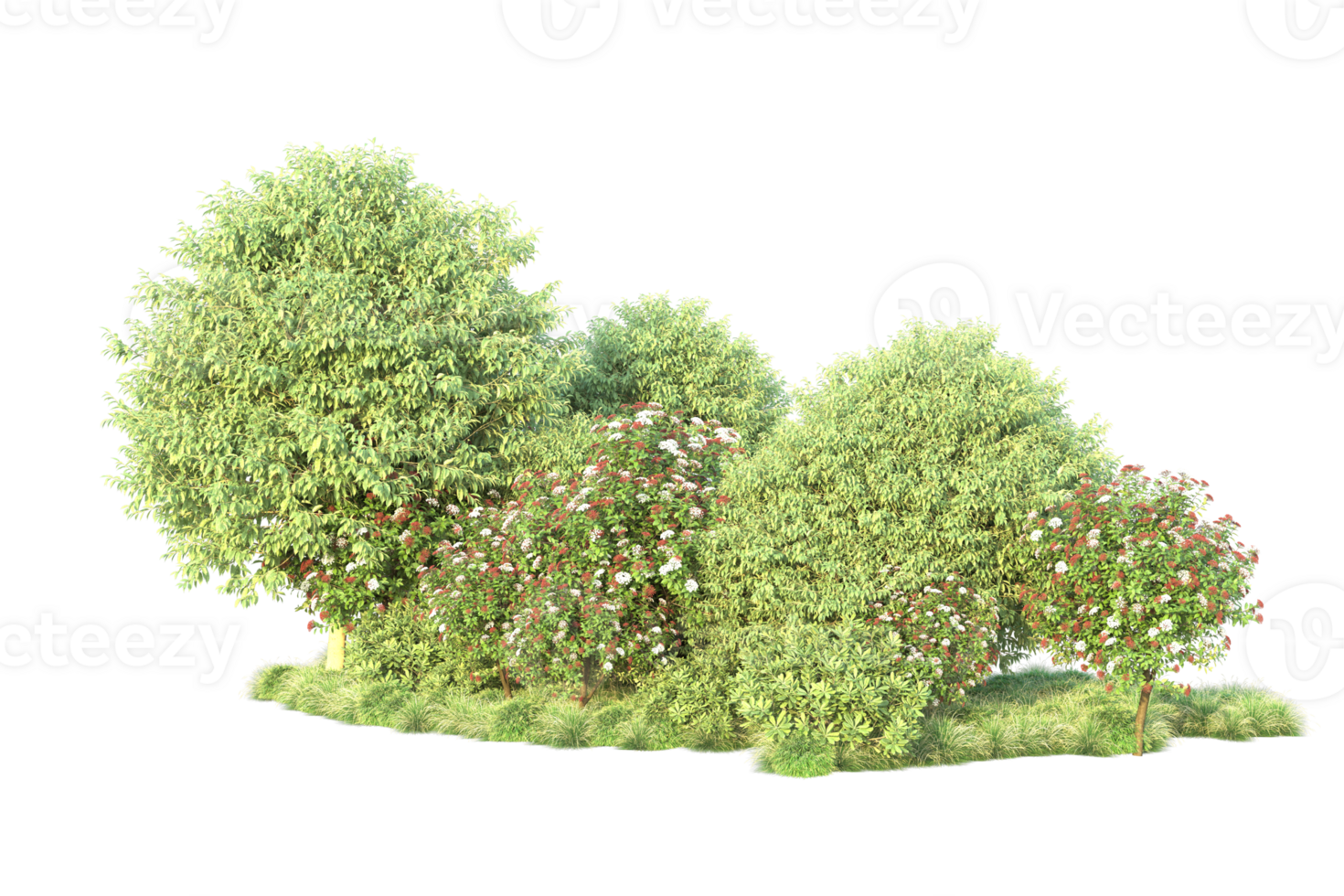 Tropical forest isolated on transparent background. 3d rendering - illustration png