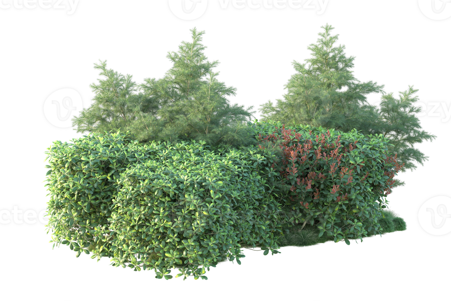 Tropical forest isolated on transparent background. 3d rendering - illustration png