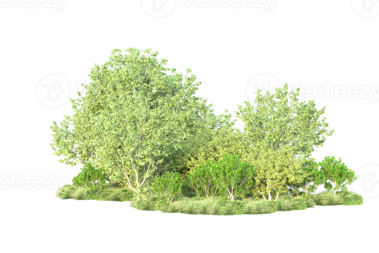 Tropical forest isolated on transparent background. 3d rendering - illustration png