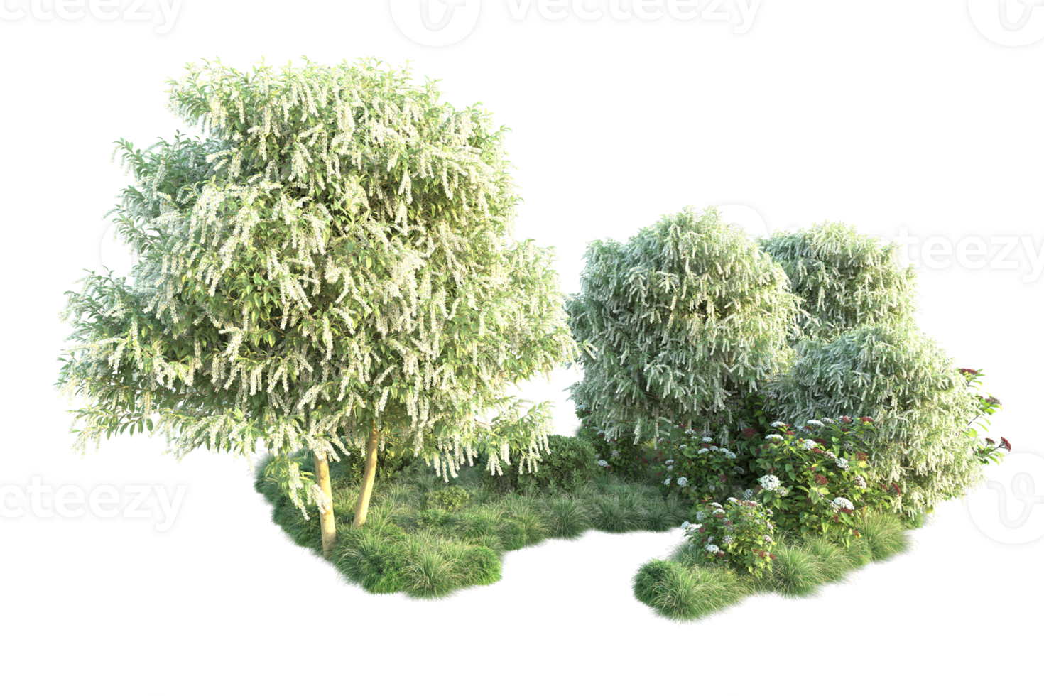 Tropical forest isolated on transparent background. 3d rendering - illustration png