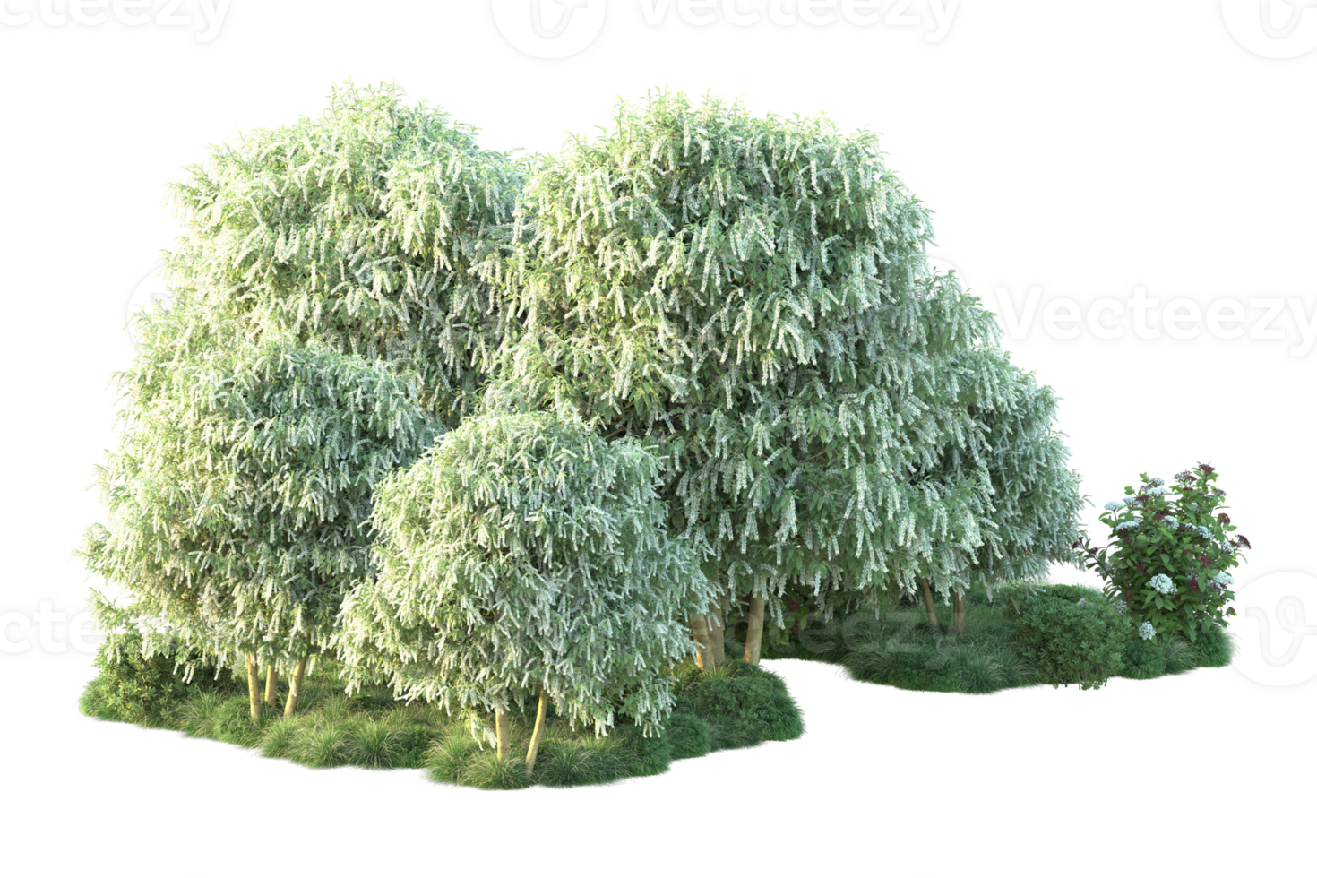 Tropical forest isolated on transparent background. 3d rendering - illustration png