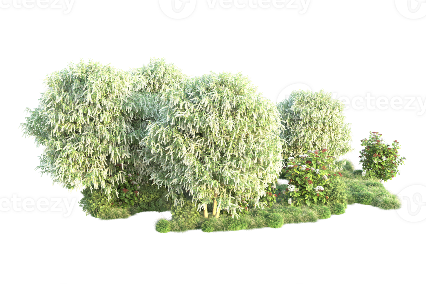 Tropical forest isolated on transparent background. 3d rendering - illustration png