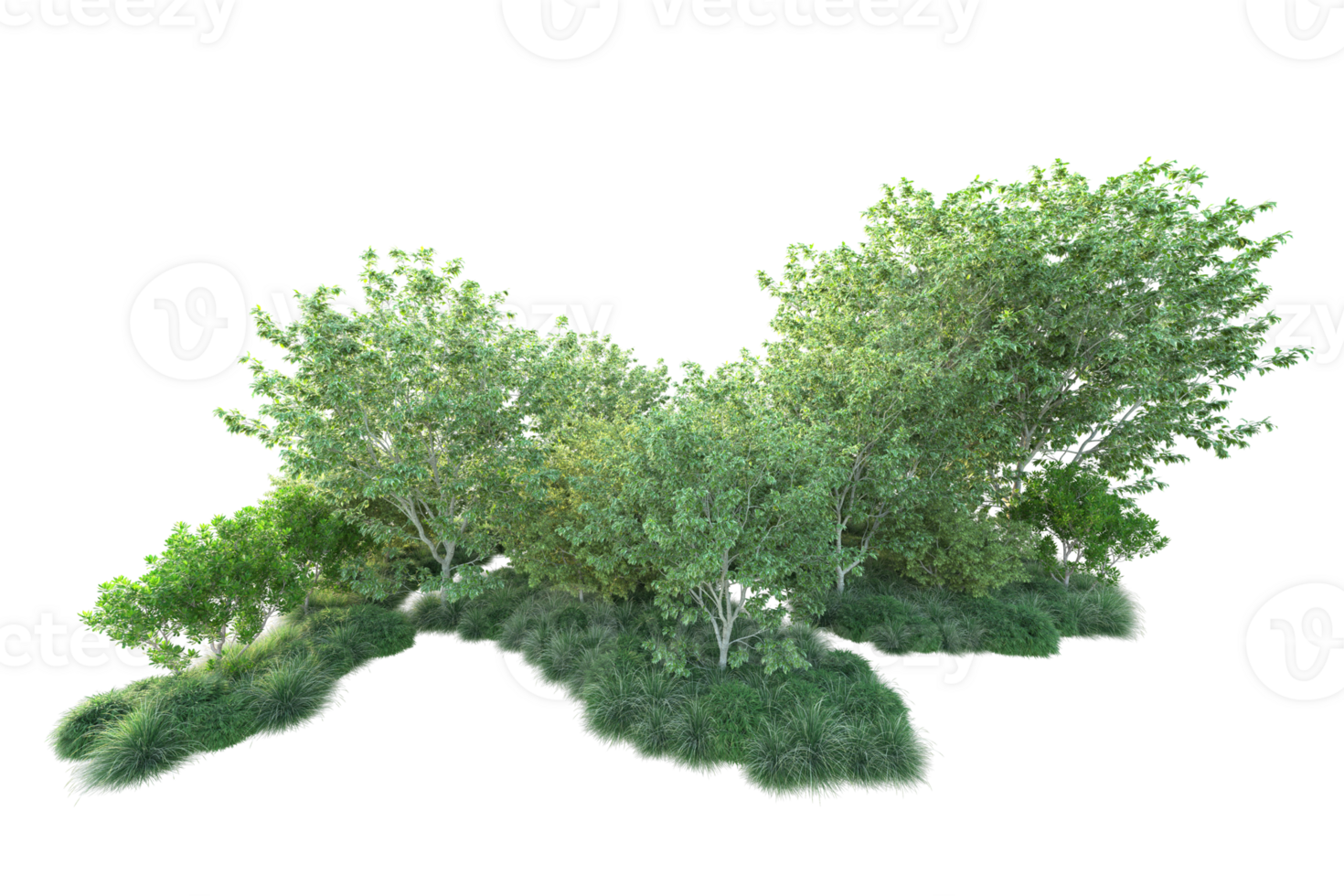 Tropical forest isolated on transparent background. 3d rendering - illustration png