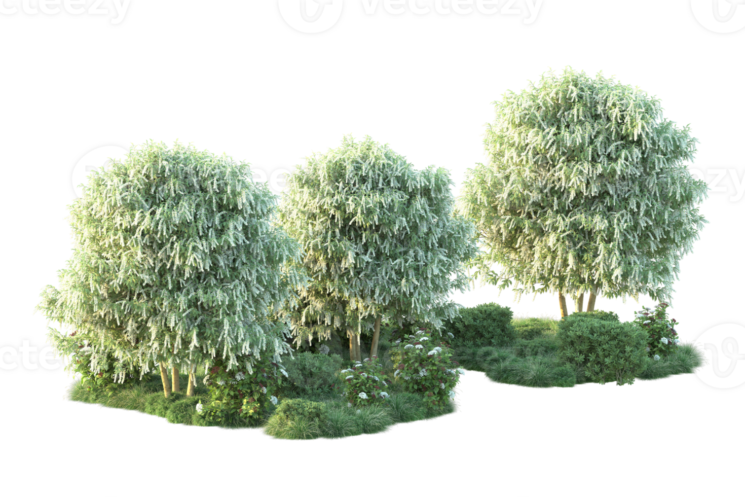 Tropical forest isolated on transparent background. 3d rendering - illustration png
