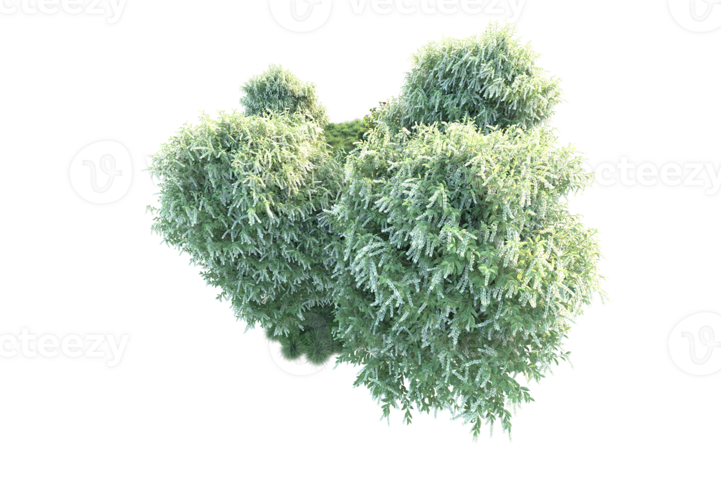 Tropical forest isolated on transparent background. 3d rendering - illustration png