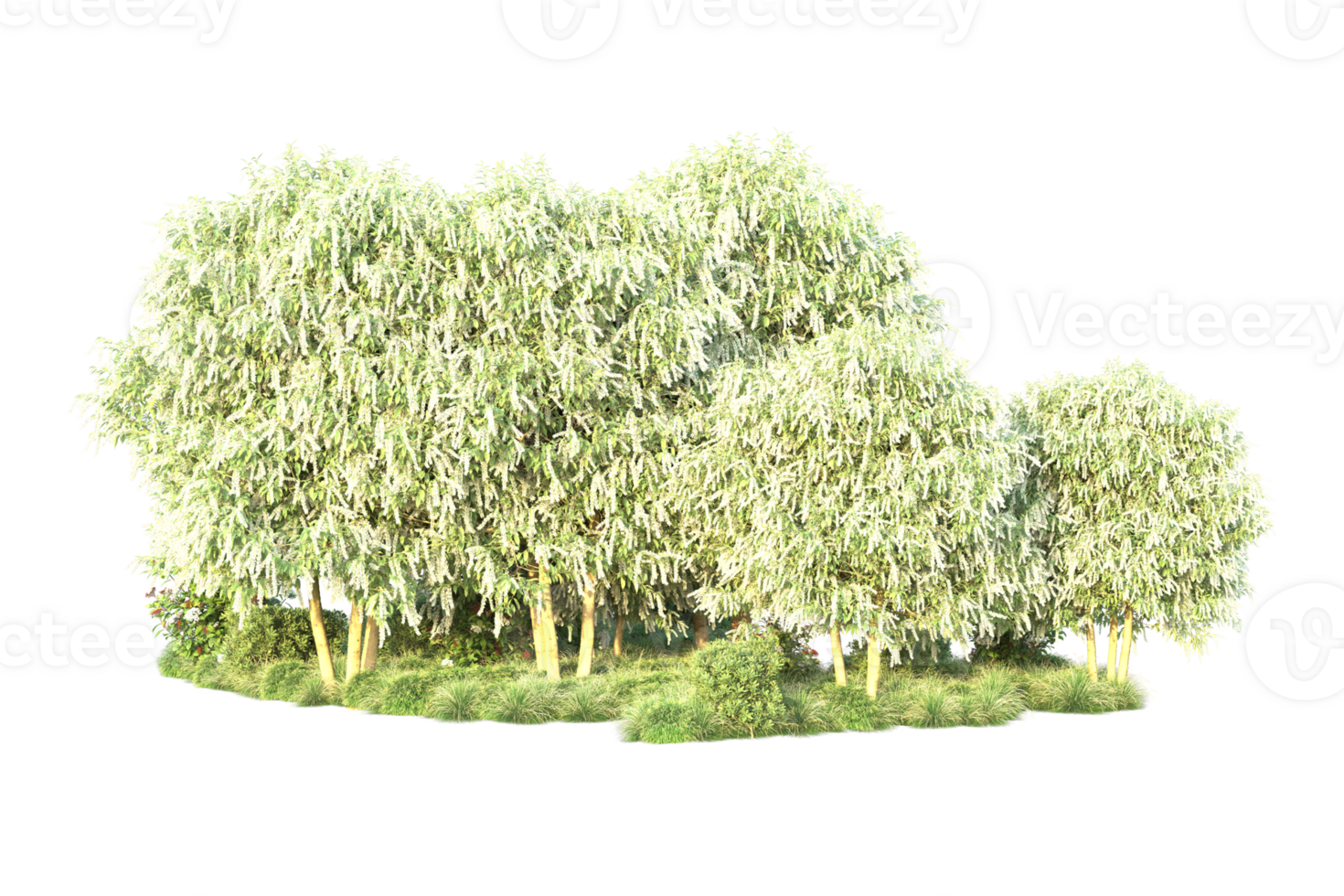 Tropical forest isolated on transparent background. 3d rendering - illustration png
