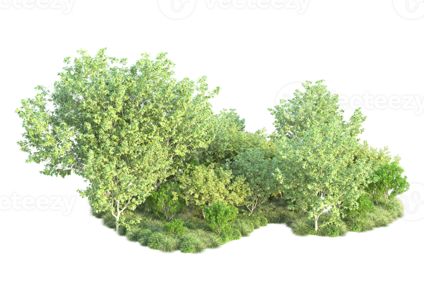 Tropical forest isolated on transparent background. 3d rendering - illustration png