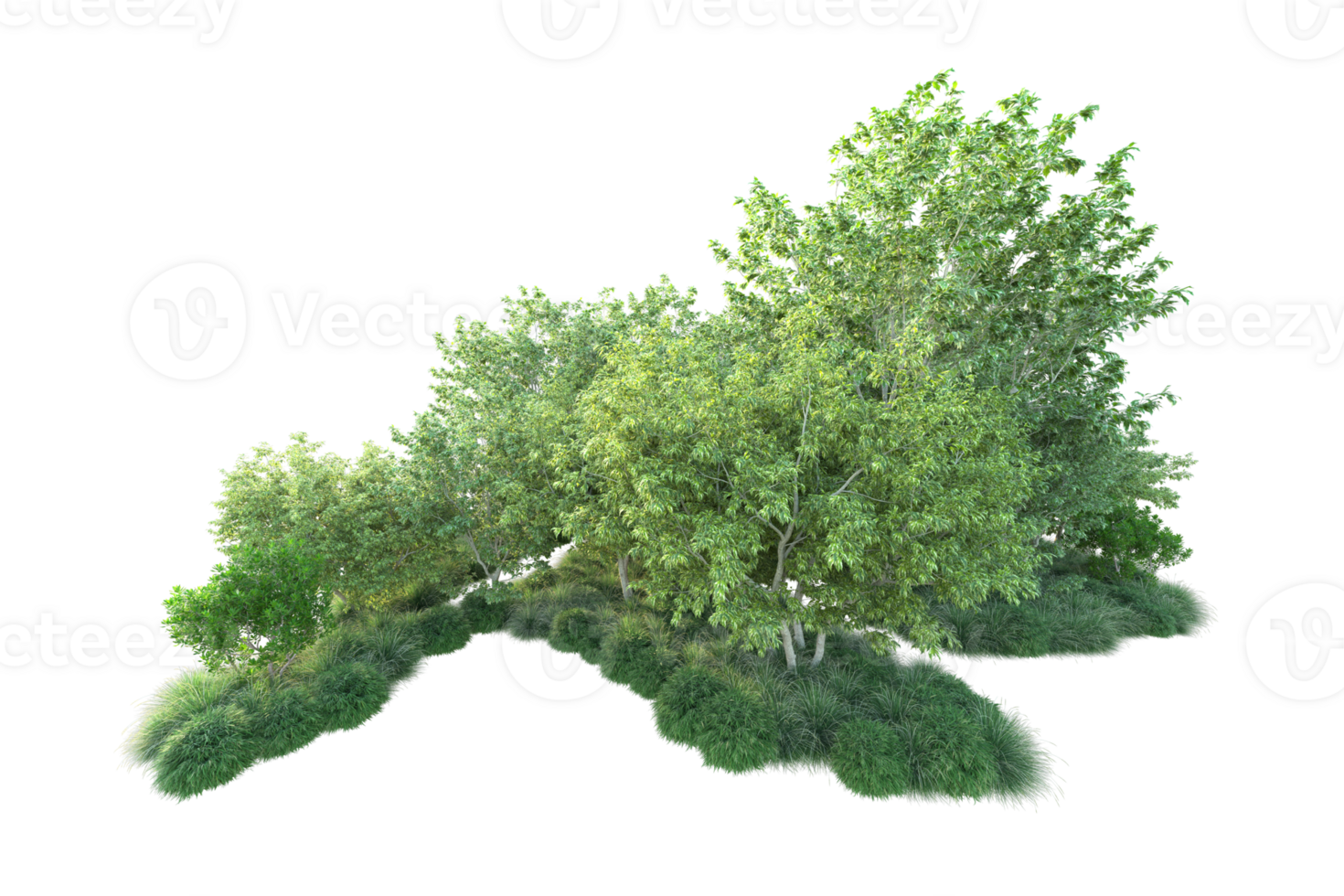 Tropical forest isolated on transparent background. 3d rendering - illustration png