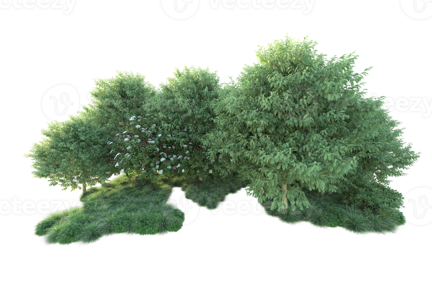 Tropical forest isolated on transparent background. 3d rendering - illustration png