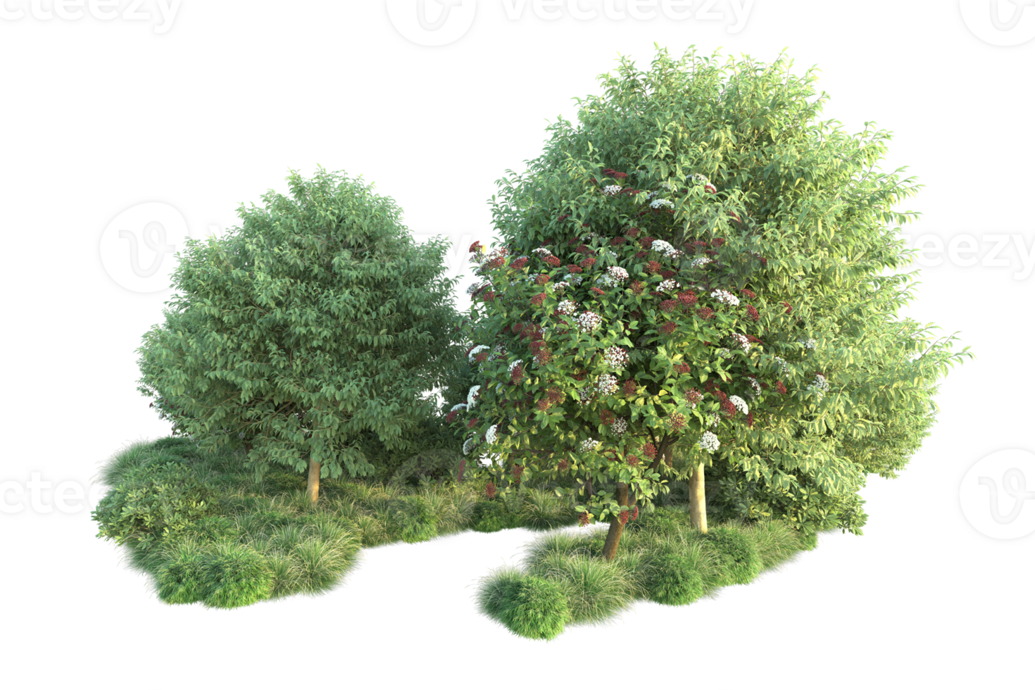 Tropical forest isolated on transparent background. 3d rendering - illustration png