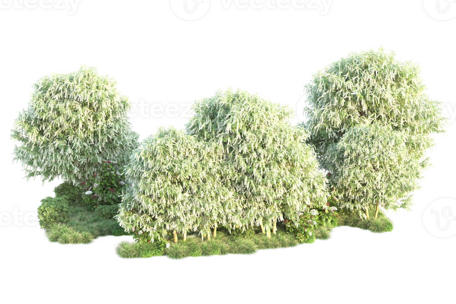 Tropical forest isolated on transparent background. 3d rendering - illustration png