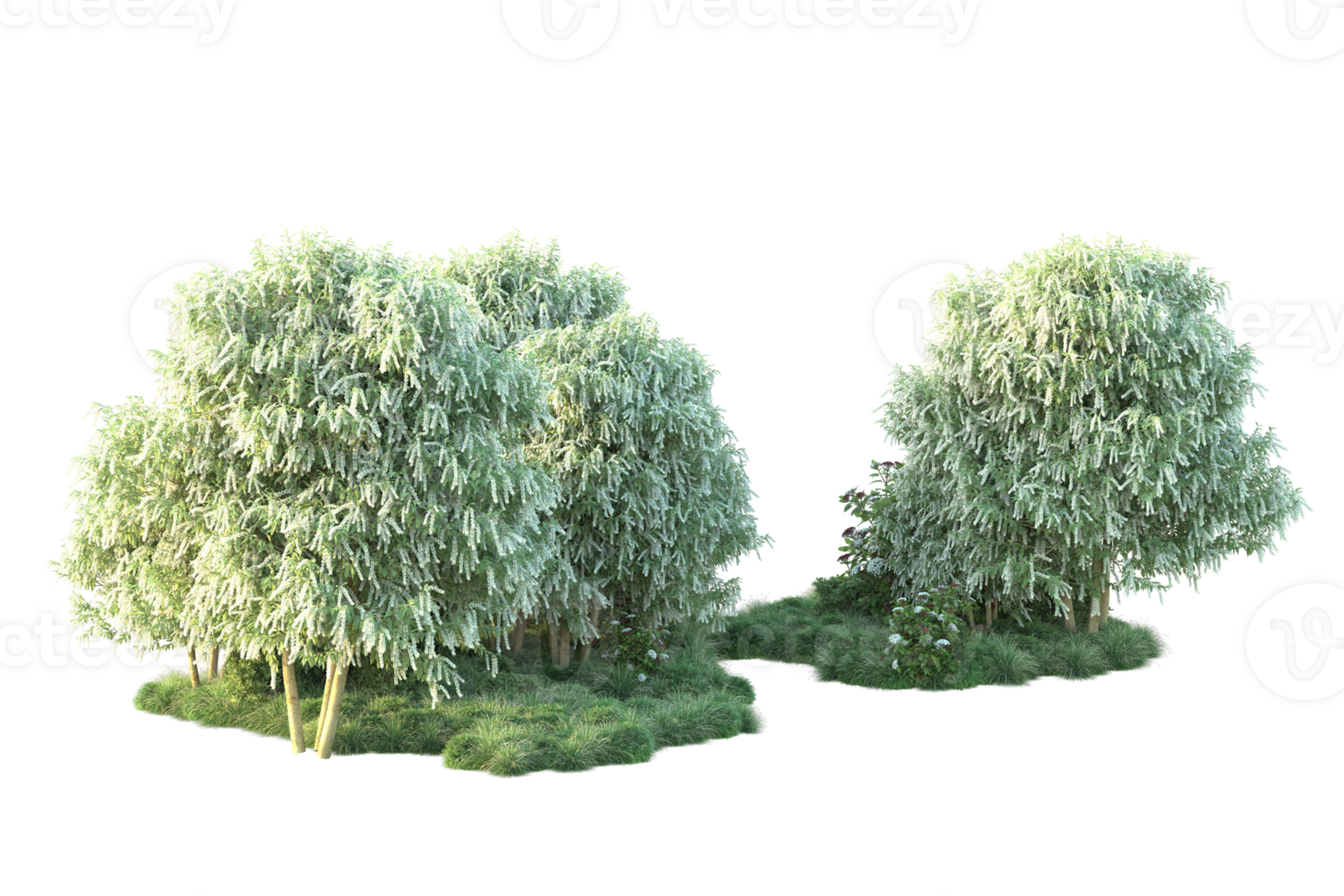 Tropical forest isolated on transparent background. 3d rendering - illustration png