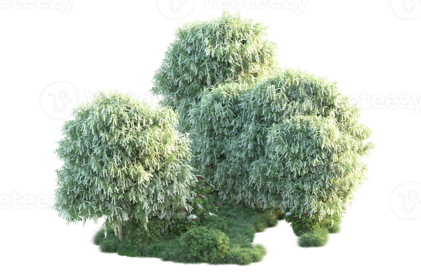 Tropical forest isolated on transparent background. 3d rendering - illustration png