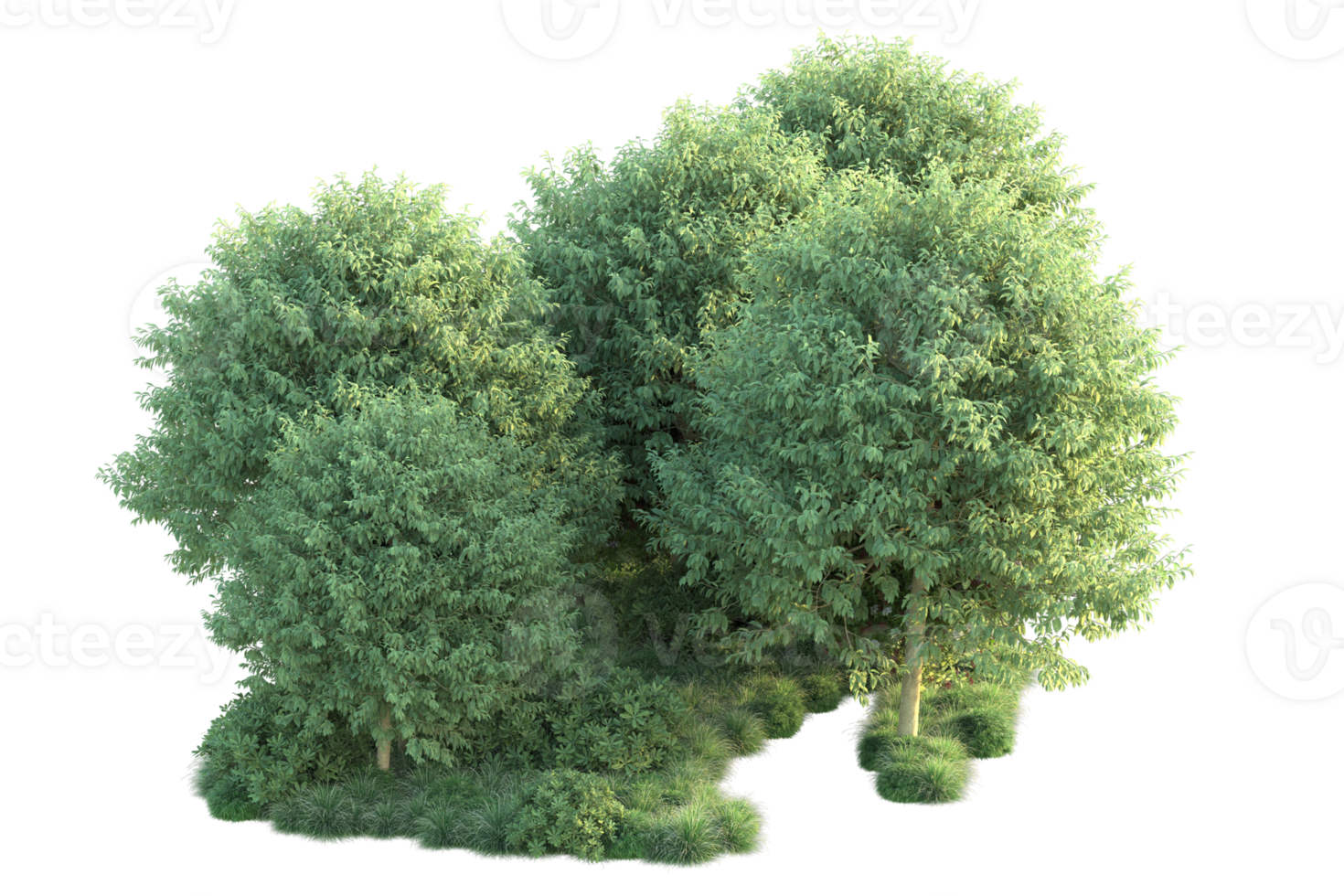 Tropical forest isolated on transparent background. 3d rendering - illustration png